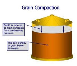 Grain compaction